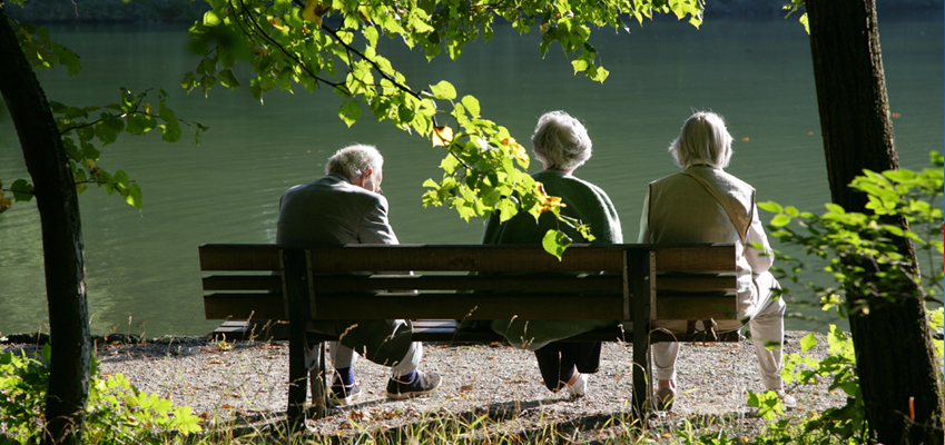 Group of Old People Relaxing by a Pond
